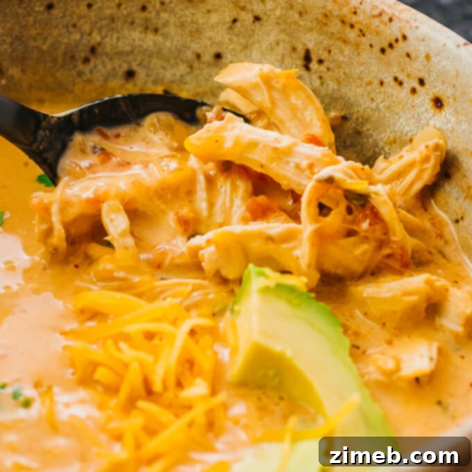 Quick Instant Pot Salsa Chicken Soup, zesty and flavorful.