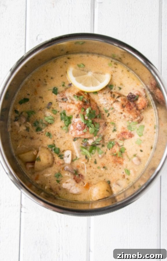 Instant Pot Chicken Fricassee, a creamy French stew.