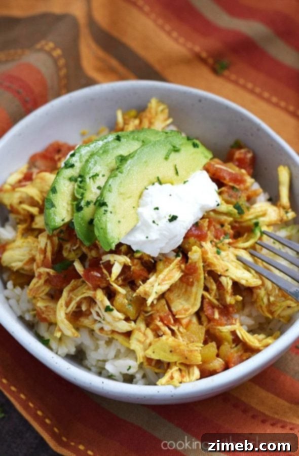 Instant Pot Adobo Chicken, a Filipino classic.