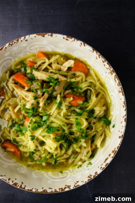 Instant Pot Chicken Noodle Soup, a best-of-the-best recipe.