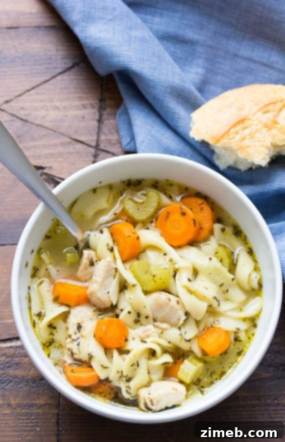 Instant Pot Chicken Noodle Soup, a soul-warming classic.