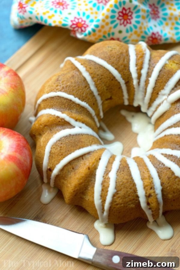 Instant Pot Sweet Delights 29 Instant Pot Pumpkin Apple Cake