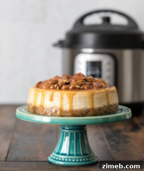 Instant Pot Sweet Delights 3 Pressure Cooker Caramel Pecan Cheesecake