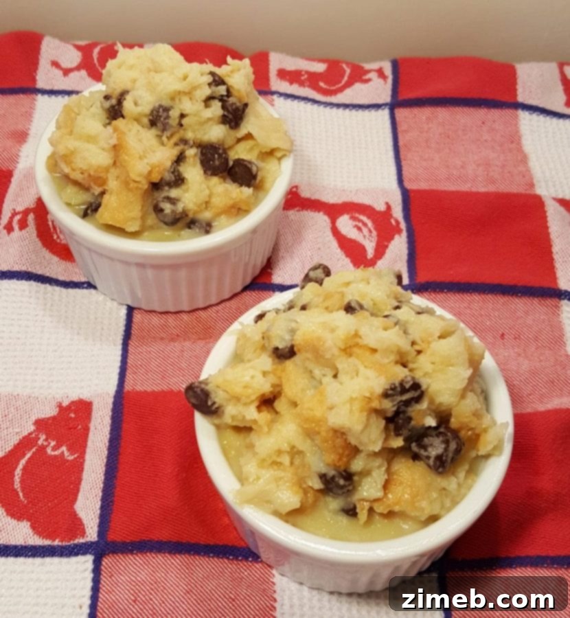 Instant Pot Sweet Delights 20 Pressure Cooker Chocolate Chip Bread Pudding