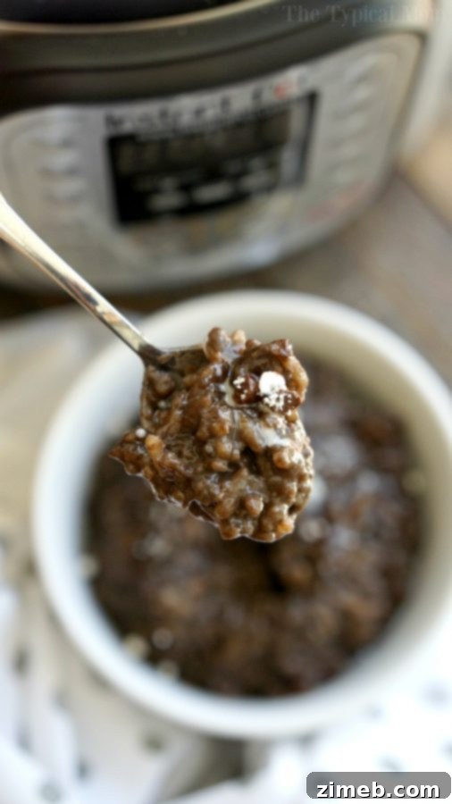 Instant Pot Sweet Delights 22 Instant Pot Chocolate Rice Pudding