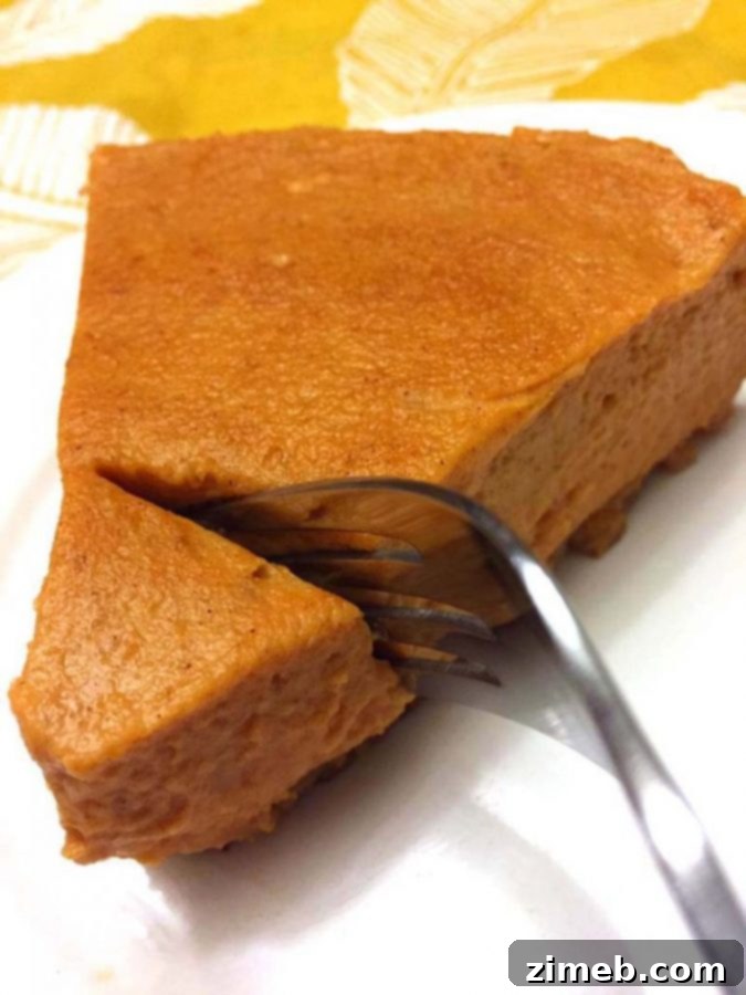 Instant Pot Sweet Delights 24 Instant Pot Pumpkin Pie Recipe