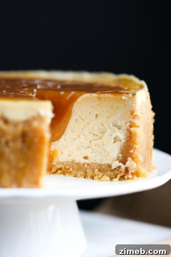 Instant Pot Sweet Delights 11 Instant Pot Salted Caramel Cheesecake
