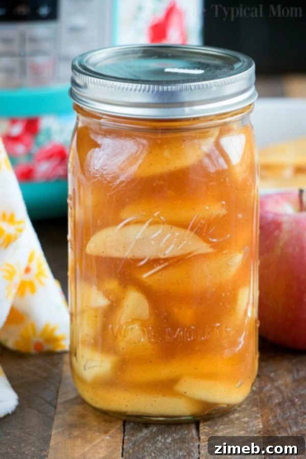 Instant Pot Sweet Delights 25 Easy homemade pressure cooker apple pie filling