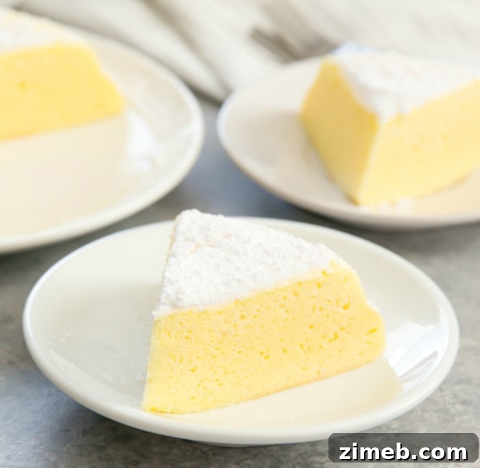 Instant Pot Sweet Delights 12 Instant Pot 3 Ingredient Japanese Cheesecake