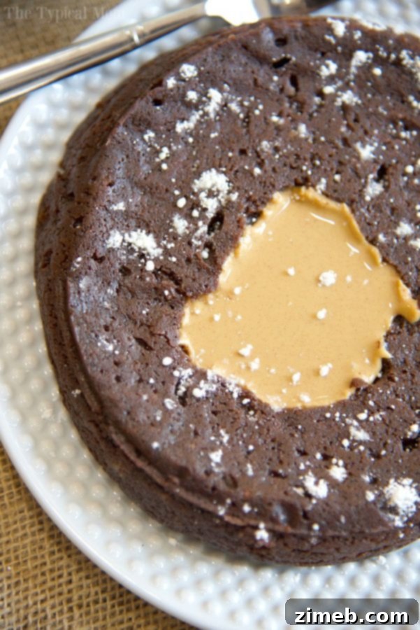 Instant Pot Sweet Delights 15 Instant Pot pressure cooker brownies