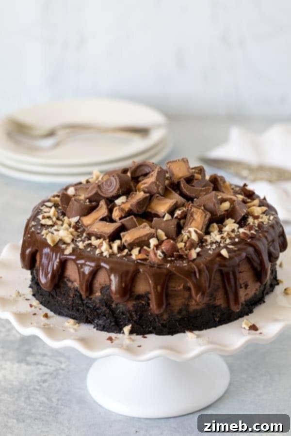 Instant Pot Sweet Delights 6 Nutella Rolo Cheesecake