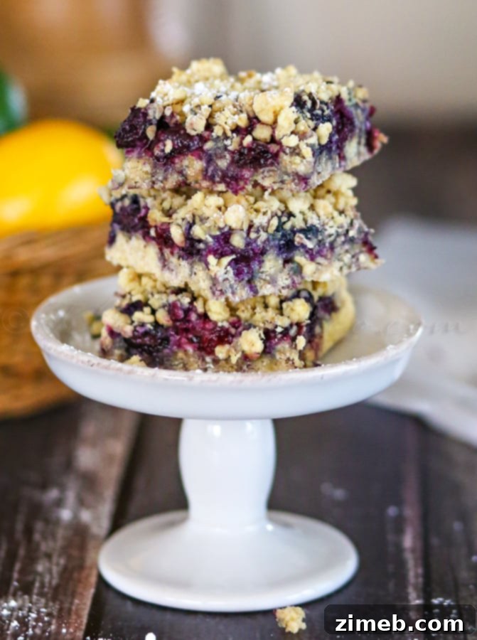 Chocolate Chip Cookie Cheesecake Delights 9 Blueberry Crumble Bars