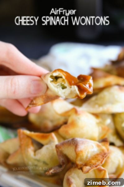 Cheesy Spinach Wontons - In Just 15 Minutes