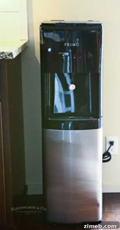Water dispenser - How to Stay Hydrated