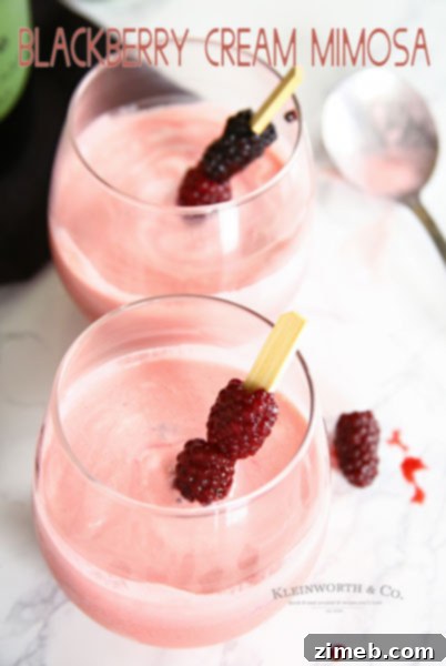 Blackberry Cream Mimosa, a delightful sparkling wine cocktail.
