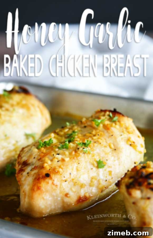 Sweet and Sticky Honey Garlic Chicken 15 Finished plate of Baked Honey Garlic Chicken