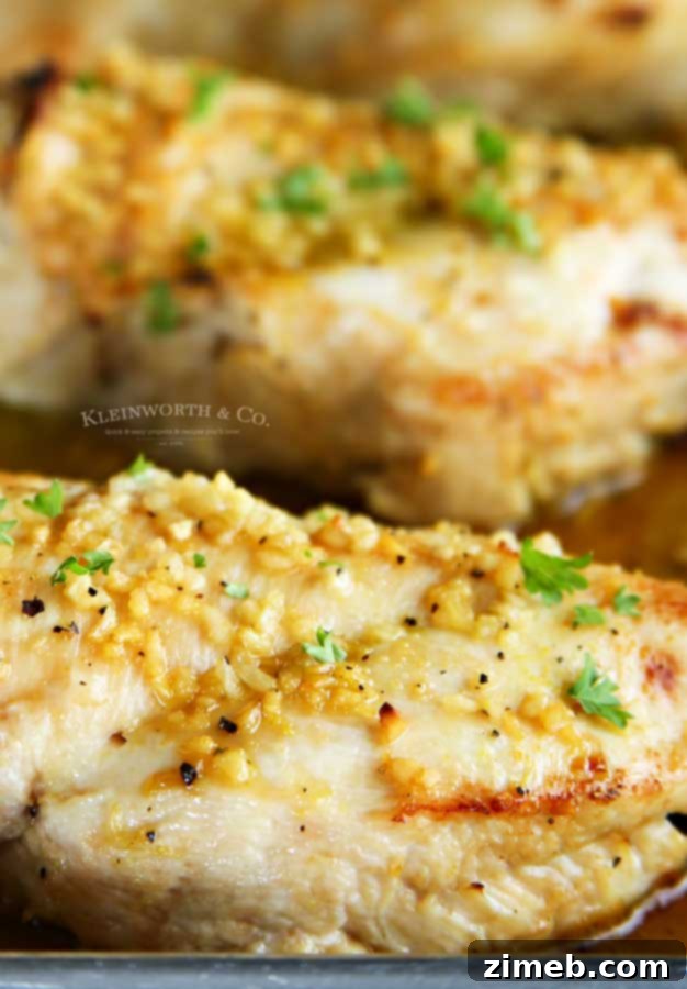 Sweet and Sticky Honey Garlic Chicken 5 Easy 30-minute dinner recipe - Baked Honey Garlic Chicken
