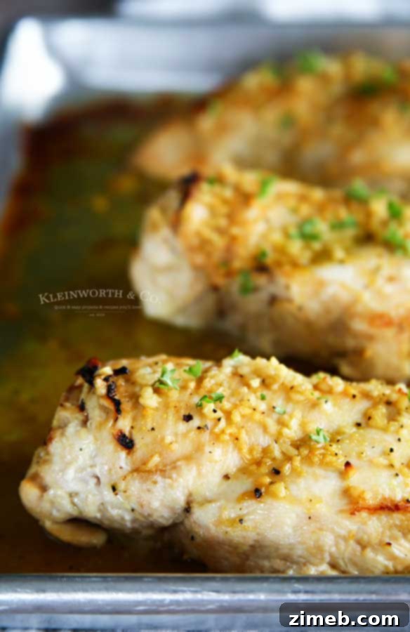 Sweet and Sticky Honey Garlic Chicken 6 Juicy chicken dinner recipe - Baked Honey Garlic Chicken