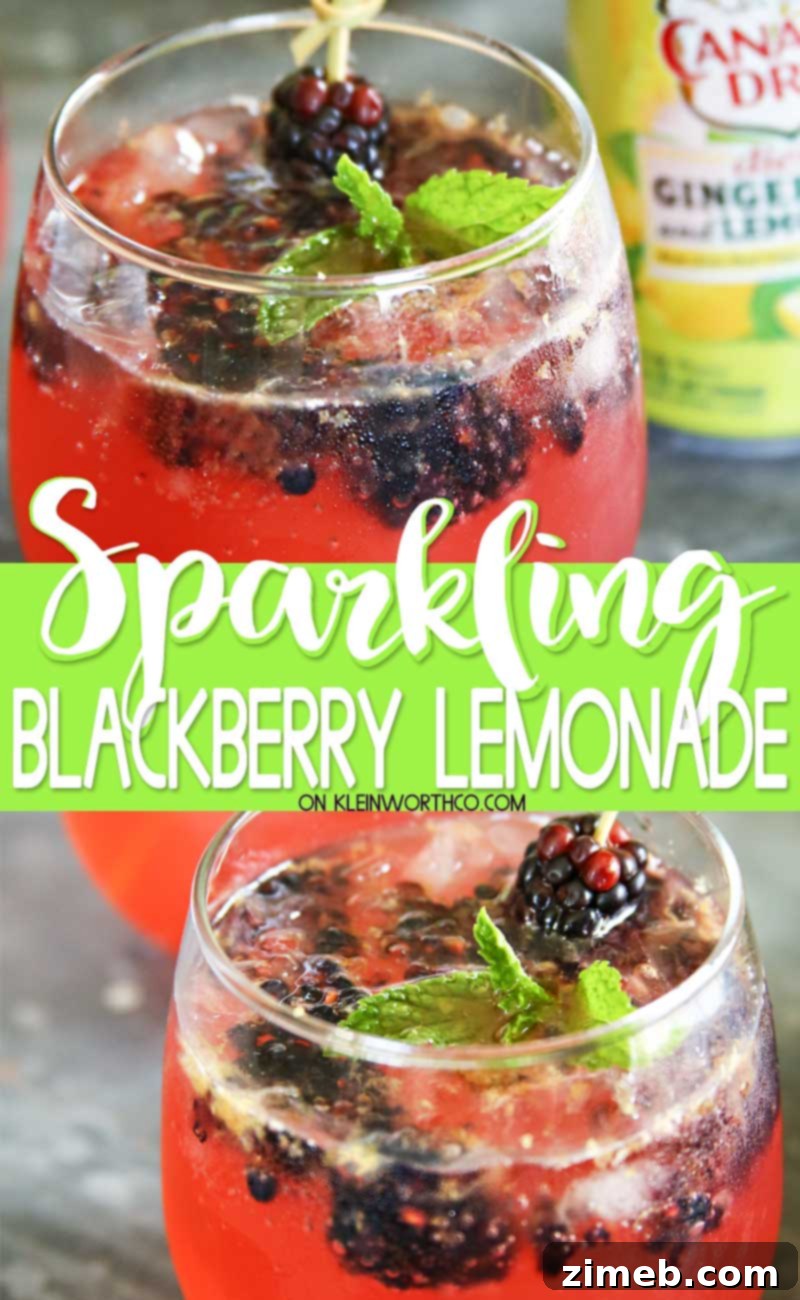 Sparkling Blackberry Lemonade - A refreshing summer drink recipe with lemon and blackberry flavors