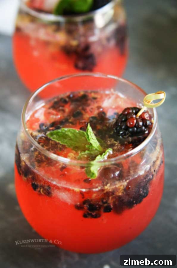 Summer drink recipe - Sparkling Blackberry Lemonade with fresh fruit