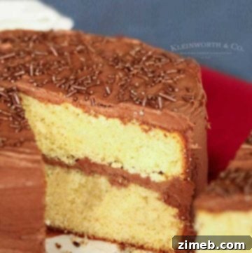 Best Yellow Cake Recipe with chocolate frosting