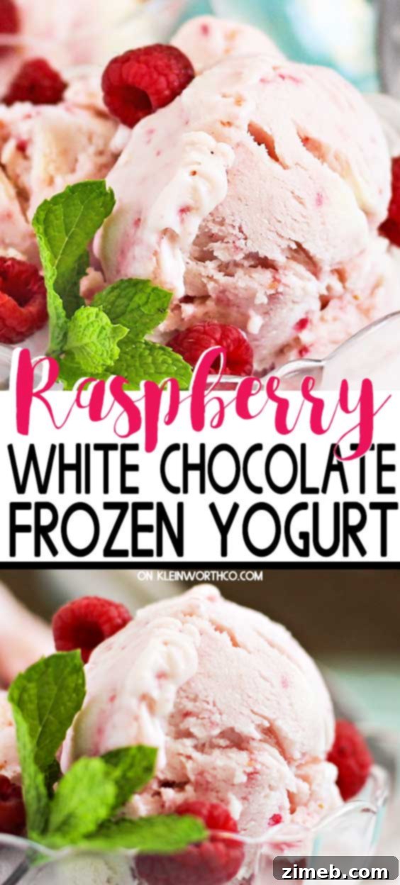 Dreamy Raspberry White Chocolate FroYo 2 Raspberry White Chocolate Frozen Yogurt - an easy and refreshing homemade frozen dessert for summer
