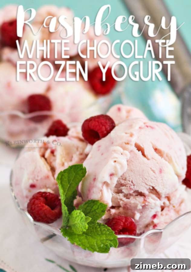 Dreamy Raspberry White Chocolate FroYo 15 Raspberry White Chocolate Frozen Yogurt - a stunning and delicious homemade dessert