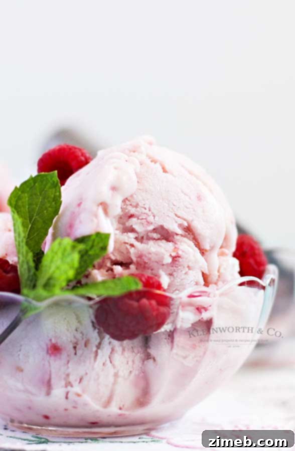 Dreamy Raspberry White Chocolate FroYo 4 Raspberry White Chocolate Frozen Yogurt recipe for a refreshing treat