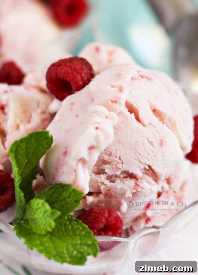 Dreamy Raspberry White Chocolate FroYo 8 Frozen dessert - Raspberry White Chocolate Frozen Yogurt, a delightful homemade treat