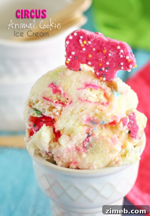 Dreamy Raspberry White Chocolate FroYo 9 Circus Animal Cookie Ice Cream - a fun and colorful frozen dessert