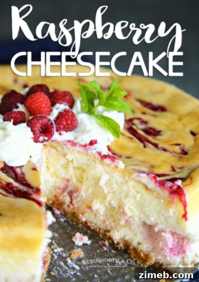 Decadent Raspberry Cheesecake 15 Raspberry Cheesecake Recipe