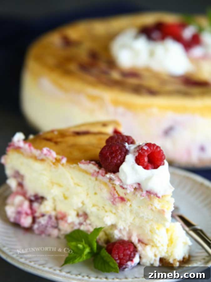 Decadent Raspberry Cheesecake 6 easy recipe - Raspberry Cheesecake Recipe