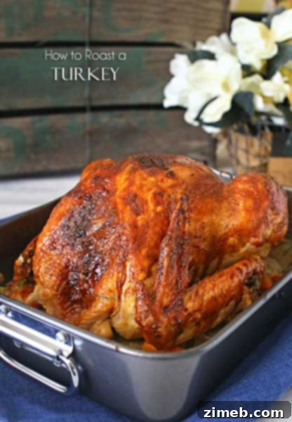 How to Roast a Turkey, ideal for turkey gravy