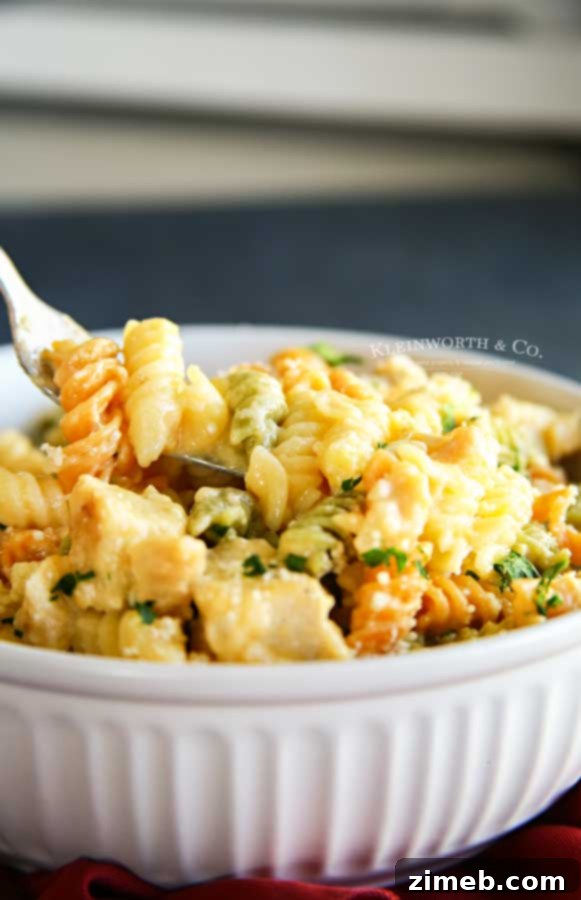 Cheesy Triple Cheddar Chicken Pasta 5 Cheesy chicken pasta - Triple Cheddar Chicken and Pasta