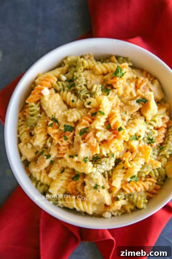 Cheesy Triple Cheddar Chicken Pasta 6 How to make Triple Cheddar Chicken and Pasta - Step-by-step