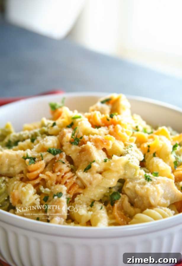 Cheesy Triple Cheddar Chicken Pasta 8 Easy pasta dinner - Triple Cheddar Chicken and Pasta