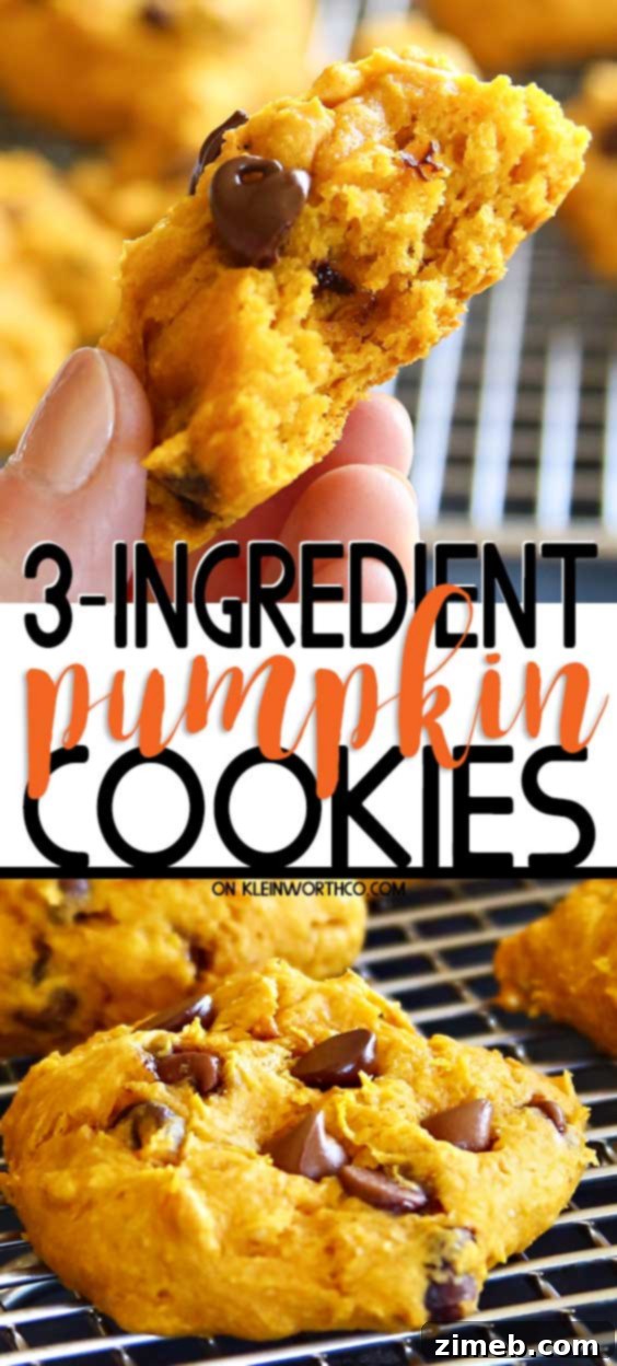 Three-Ingredient Pumpkin Perfection 2 Delicious 3-Ingredient Pumpkin Cookies - a perfect fall treat