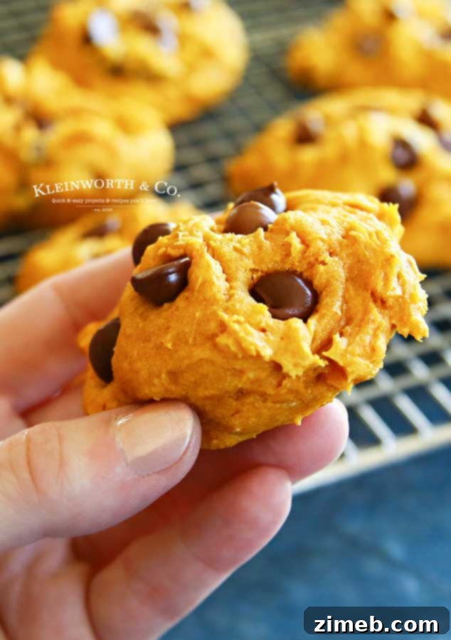 Three-Ingredient Pumpkin Perfection 3 Fall dessert featuring easy 3-Ingredient Pumpkin Cookies