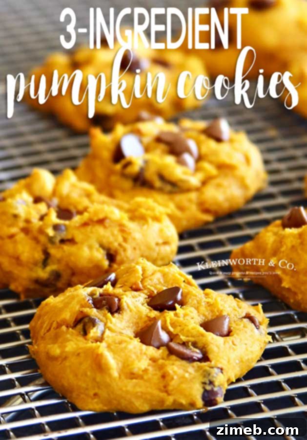 Three-Ingredient Pumpkin Perfection 22 Finished 3-Ingredient Pumpkin Cookies ready to be eaten