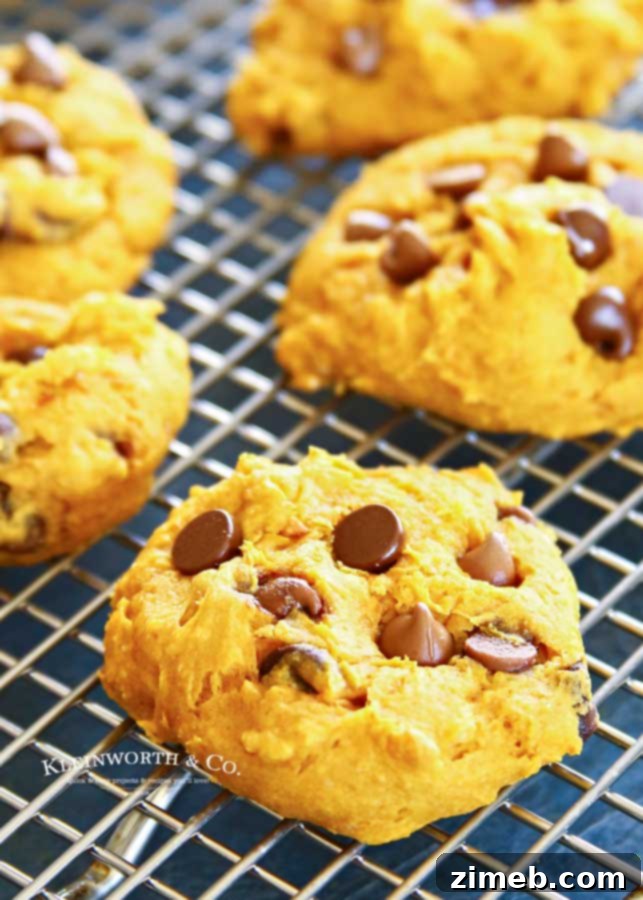 Three-Ingredient Pumpkin Perfection 5 How to make quick and easy 3-Ingredient Pumpkin Cookies