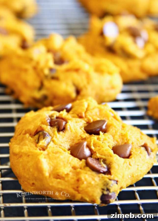 Three-Ingredient Pumpkin Perfection 6 3-Ingredient Pumpkin Cookies recipe with chocolate chips