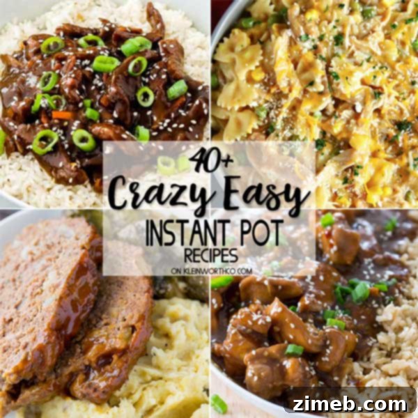 Effortless Instant Pot Meals 42 Crazy Easy Instant Pot Recipes for every meal