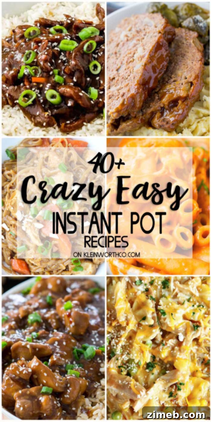 Effortless Instant Pot Meals 43 More Easy Instant Pot Recipes to explore