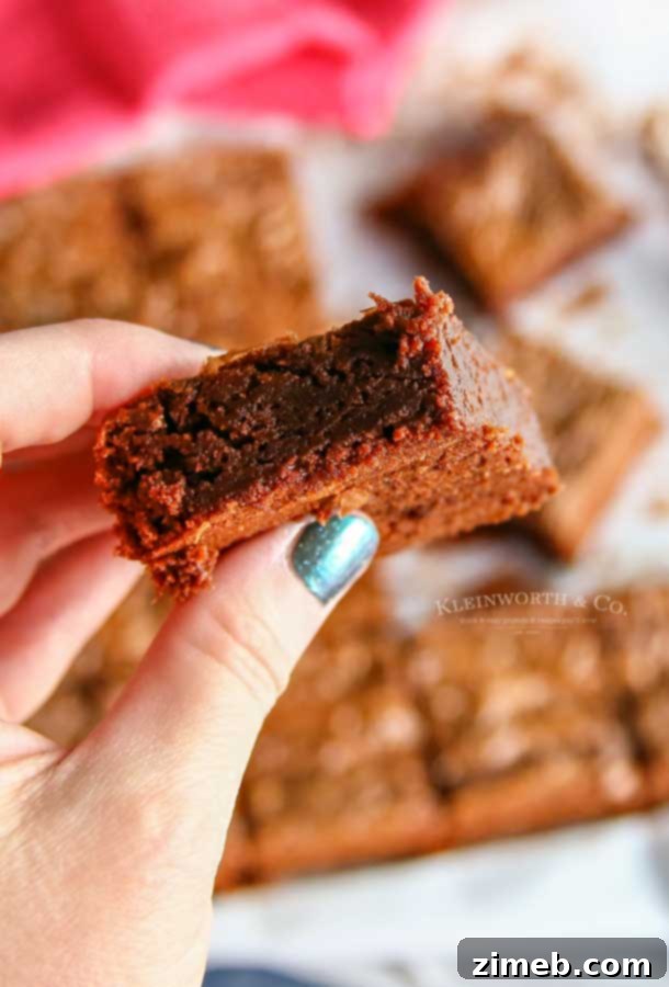 Ultimate Nutella Brownies 6 Easy Nutella Brownie Recipe