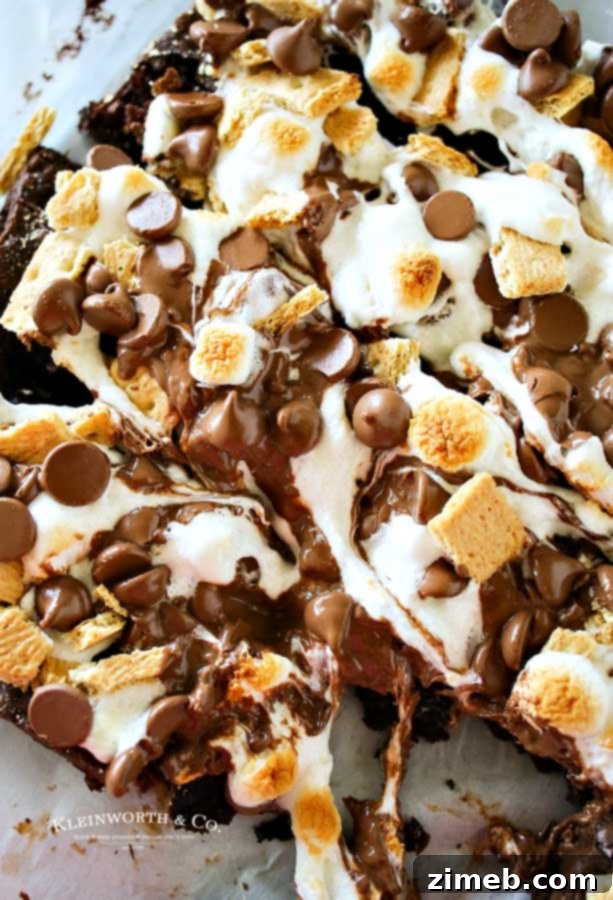 Three-Ingredient Pretzel Perfection 10 Easy S’mores Brownies recipe image