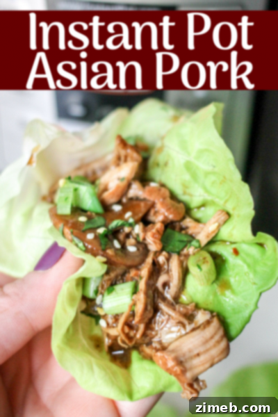 Unlock Delicious Instant Pot Pork 13 SUPER EASY Instant Pot Asian Pork