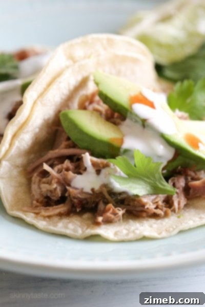 Unlock Delicious Instant Pot Pork 23 Delicious Mexican Pork Carnitas in the Instant Pot