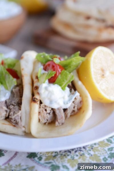 Unlock Delicious Instant Pot Pork 38 Easy Instant Pot Greek Pork