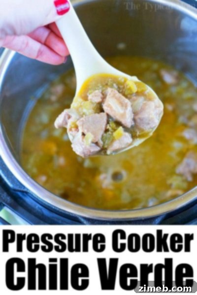 Unlock Delicious Instant Pot Pork 39 Pressure Cooker Chili Verde
