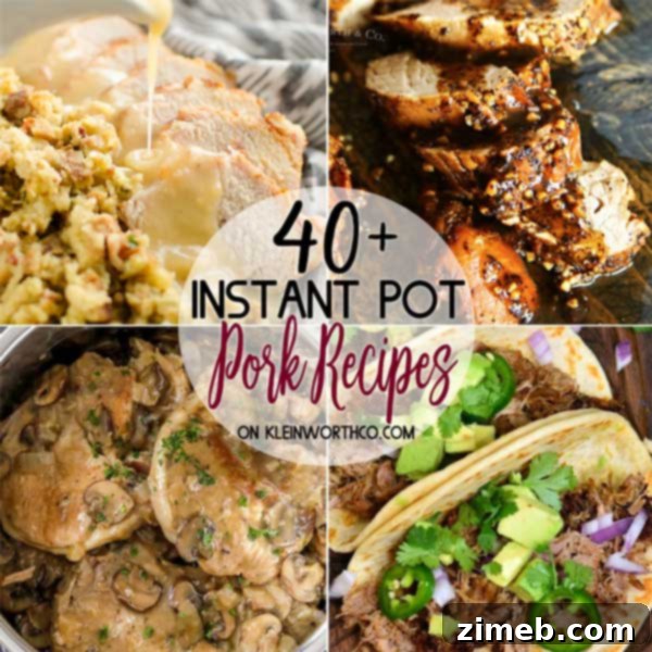 Unlock Delicious Instant Pot Pork 42 Delicious Instant Pot Pork Recipes Roundup